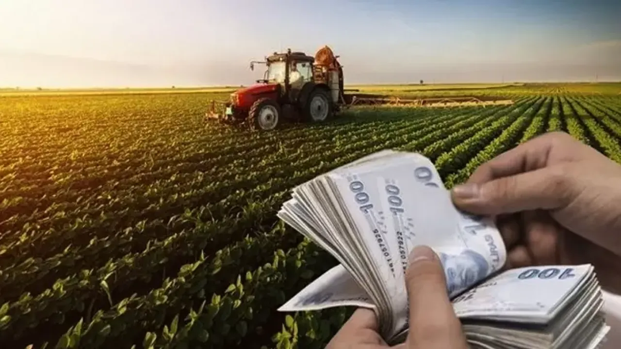 Çiftçilere müjde! Tarımsal destek ödemesi yapılacak
