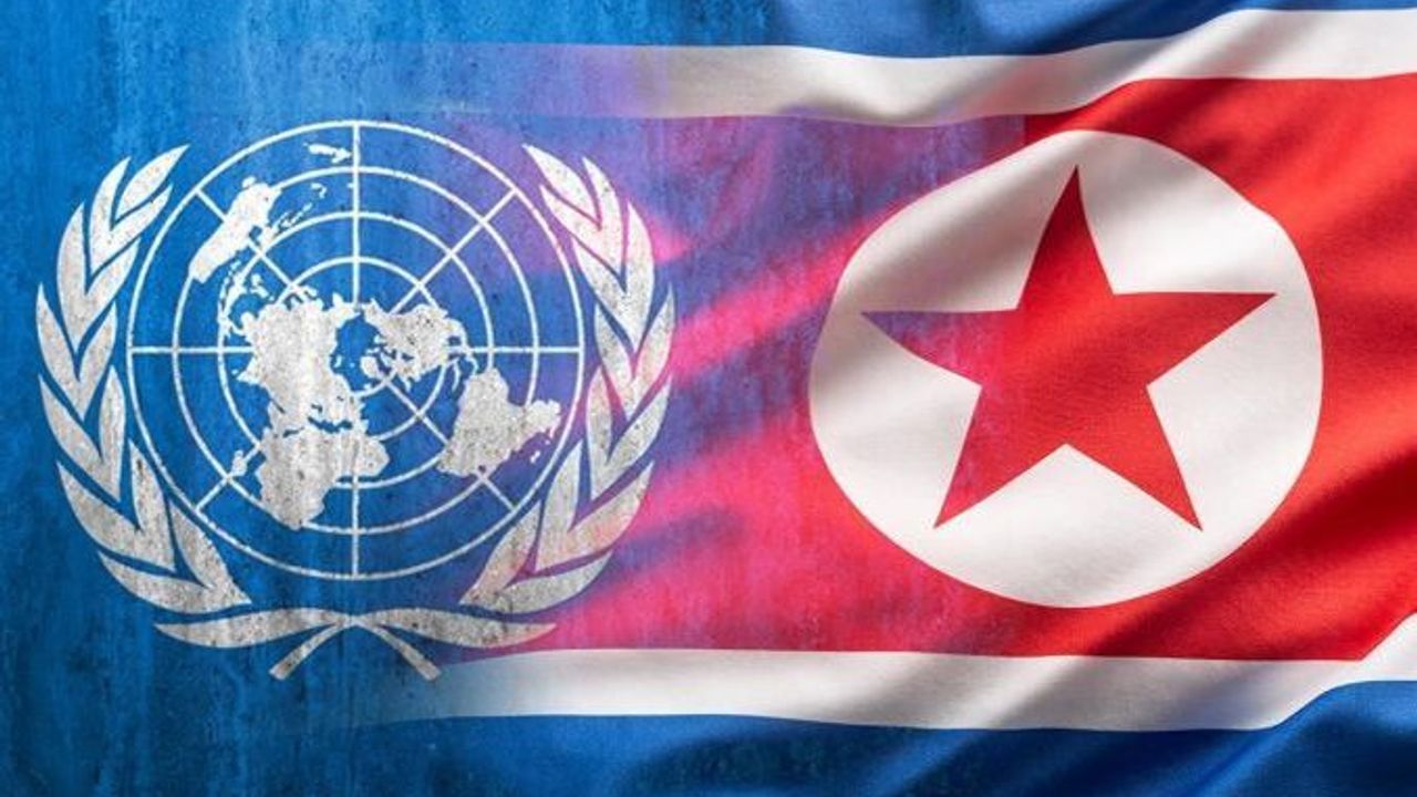 BM, Kuzey Kore'yi kıskaca aldı: Soruşturma başlattı