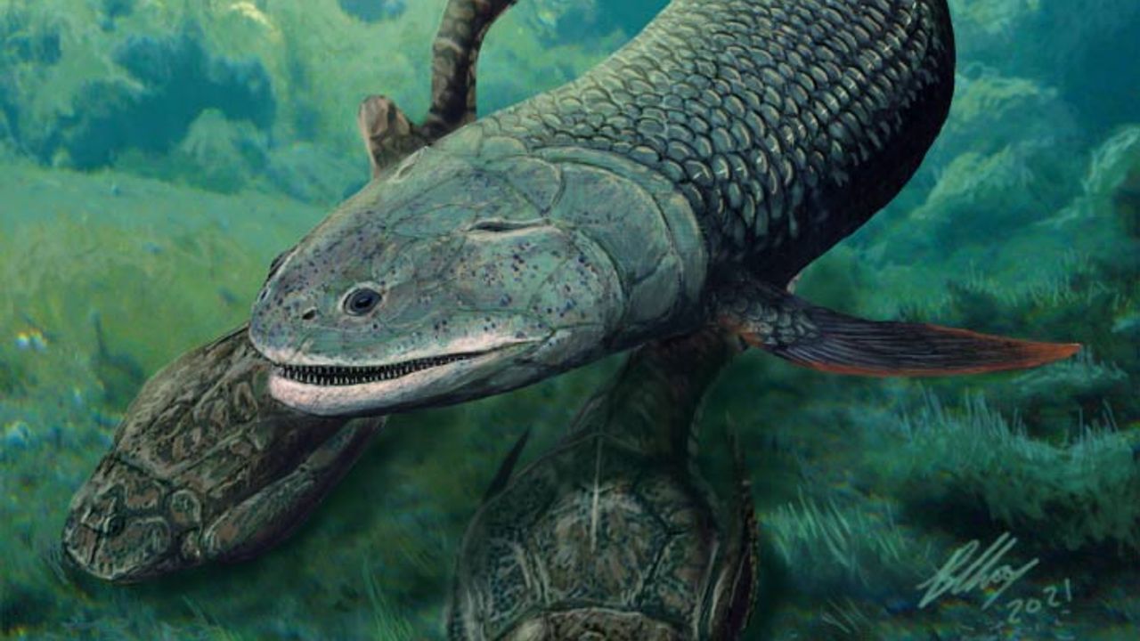 380 milyon yıllık '4 bacaklı' keşif: 'En büyük ve en yırtıcı'