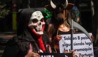 Meksika'da boğa güreşi karşıtı gösteri