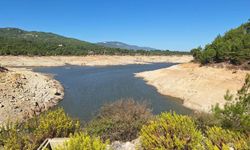 Bodrum'un suyu tükeniyor: İkinci baraj da kurudu