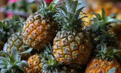 Bilim insanlar keşfetti: Bağışıklık sistemi, bir ananas ağırlığında