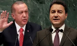 Babacan'dan Erdoğan'a zehir gibi sözler: Derdiniz ne?