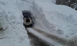 Hakkari'de çığ düştü: Ağır yaralı var