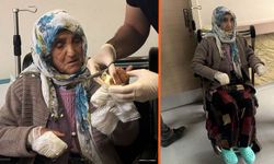 Köpek saldırısında yaralanan yaşlı kadın: Komşuların evine korkarak gidiyorum