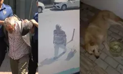 Bakırköy'de köpeğe cinsel istismar şüphelisi mahkemeye sevk edildi