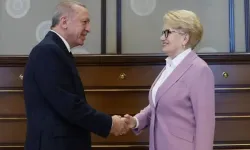 Erdoğan ve Akşener ne konuştu? Dervişoğlu'ndan açıklama