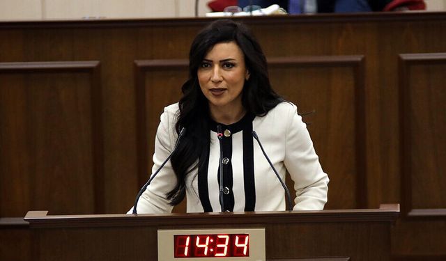 KKTC Cumhuriyet Meclisi Başkan Yardımcısının eşi beraat etti