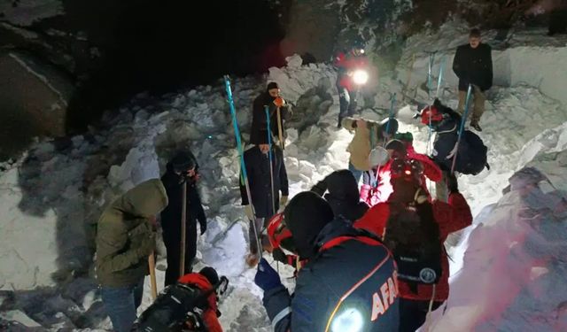 Bingöl'de çığ: Bir kişi kar altında kaldı
