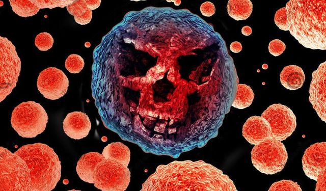 Vampir bakteri keşfedildi: İnsan kanından besleniyor