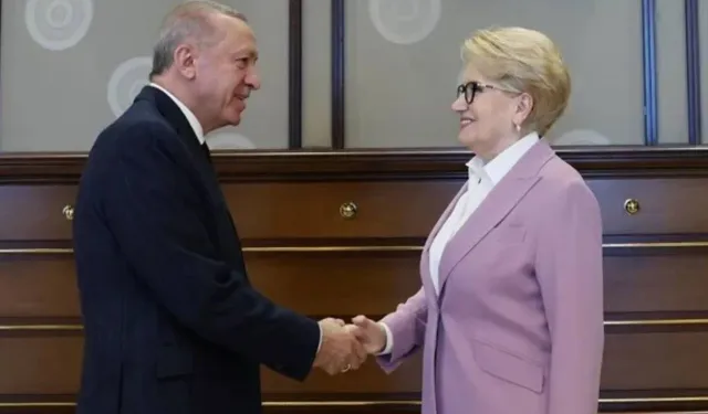 Erdoğan ve Akşener ne konuştu? Dervişoğlu'ndan açıklama